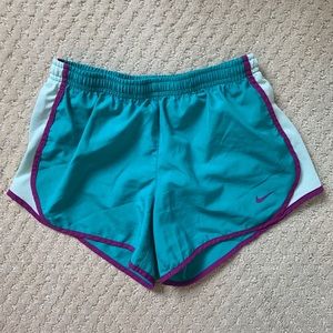 Nike DriFit Teal/Purple Athletic Shorts M